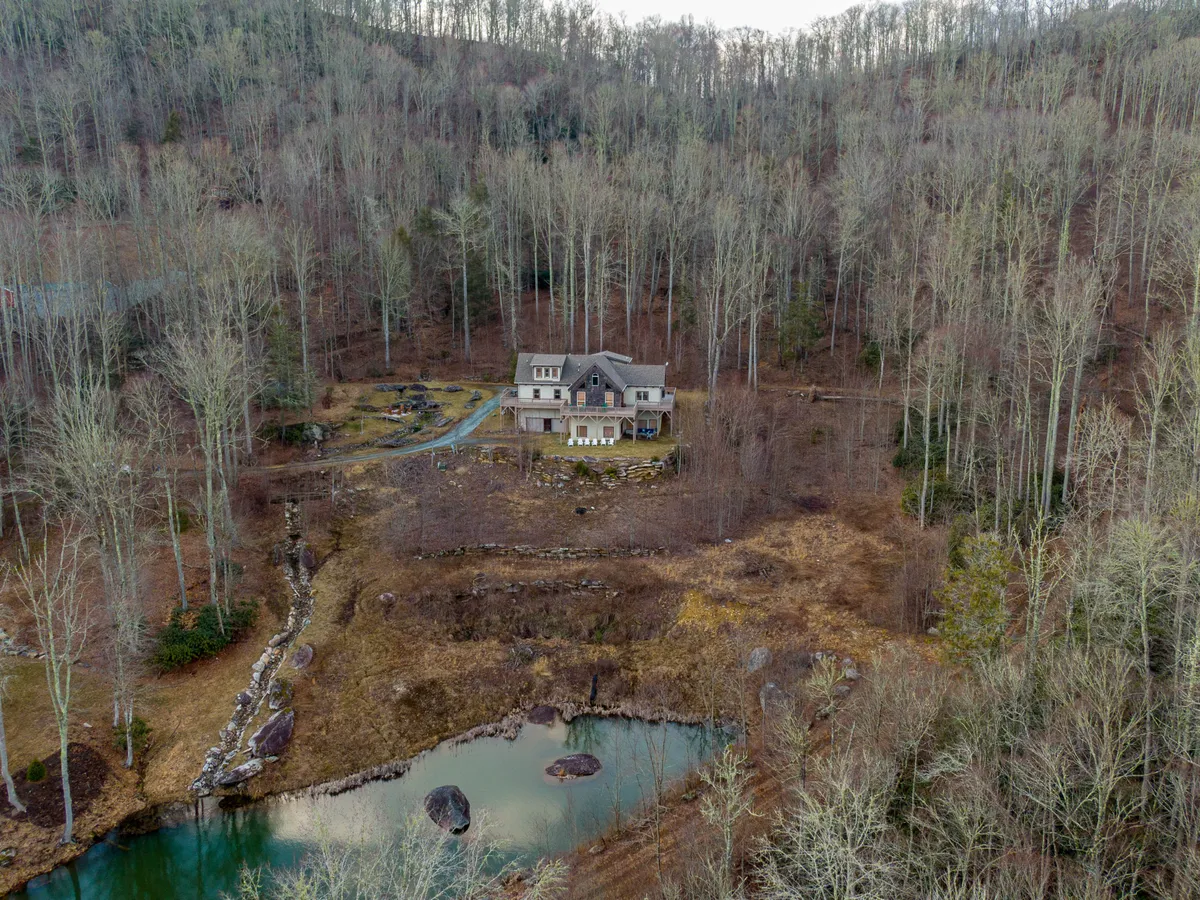 The house nestles among mature trees next to a tranquil pond, with open grounds all around. The pond and surrounding greenery offer natural exploration opportunities for dogs and a peaceful setting for guests.